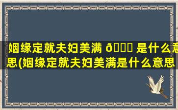 姻缘定就夫妇美满 🐝 是什么意思(姻缘定就夫妇美满是什么意思 🦅 啊)